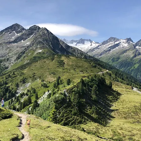 Filzsteinresort - 235 *